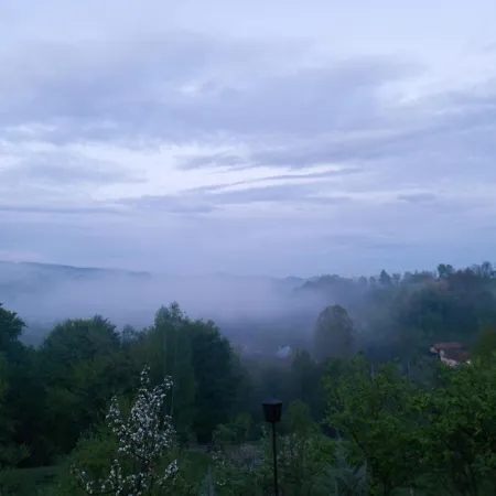 Stablo * Barasti