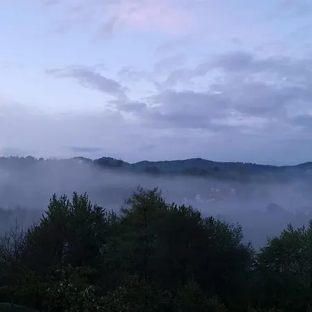 Stablo Barasti