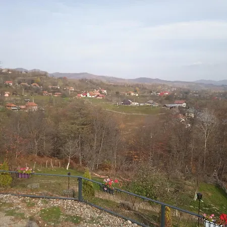 Stablo * Barasti