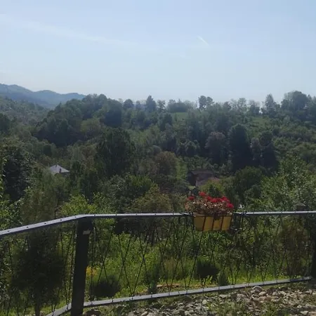 Stablo Barasti
